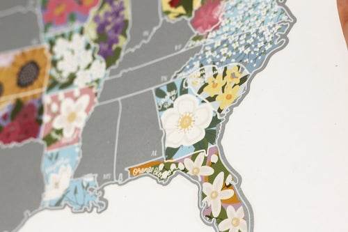 Scratch Your Travels® USA State Flowers Map 10x8" Silver