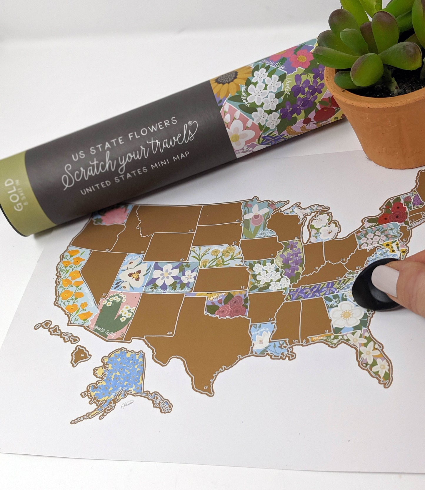 Scratch Your Travels® USA State Flowers Map