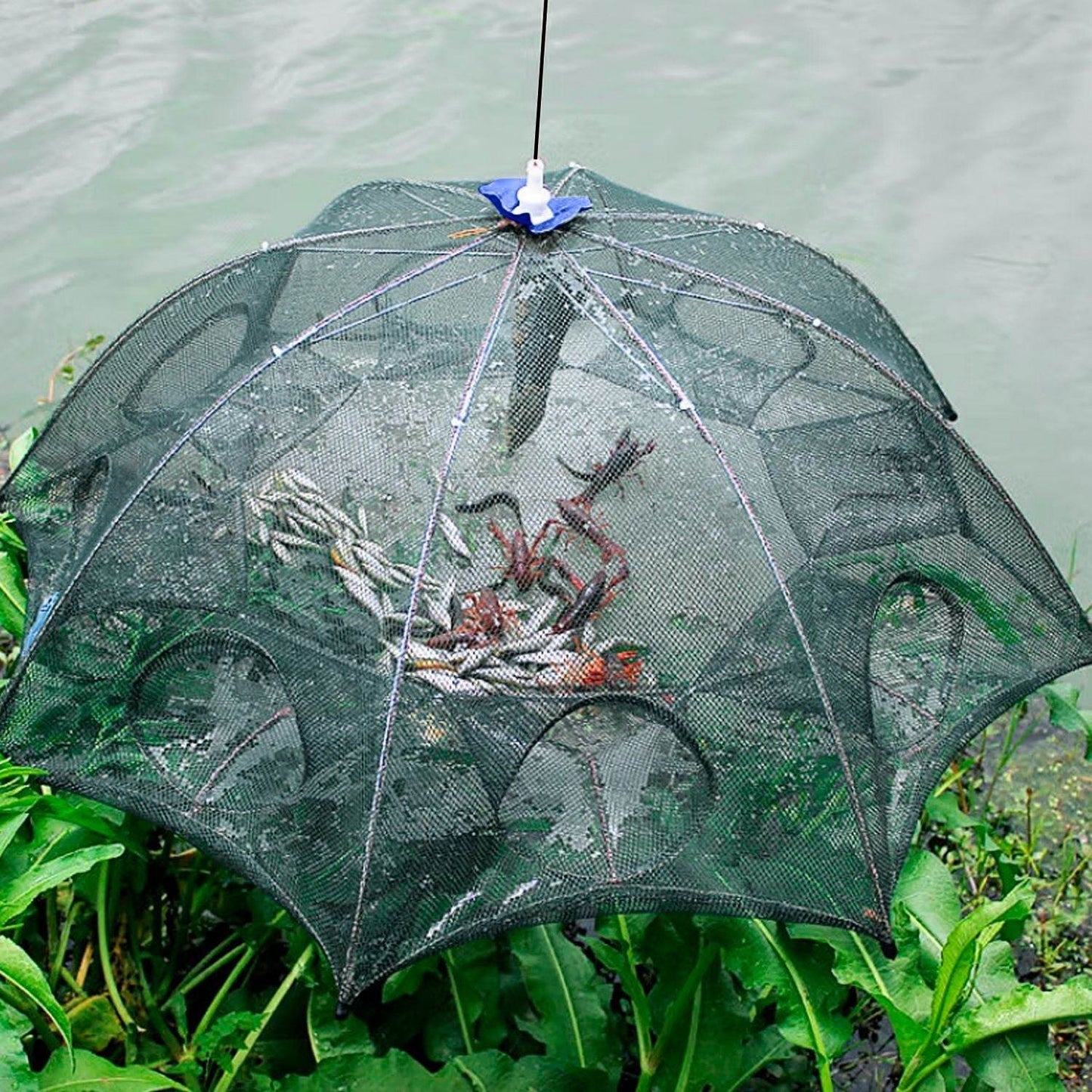 Foldable Fishing Bait Trap Net