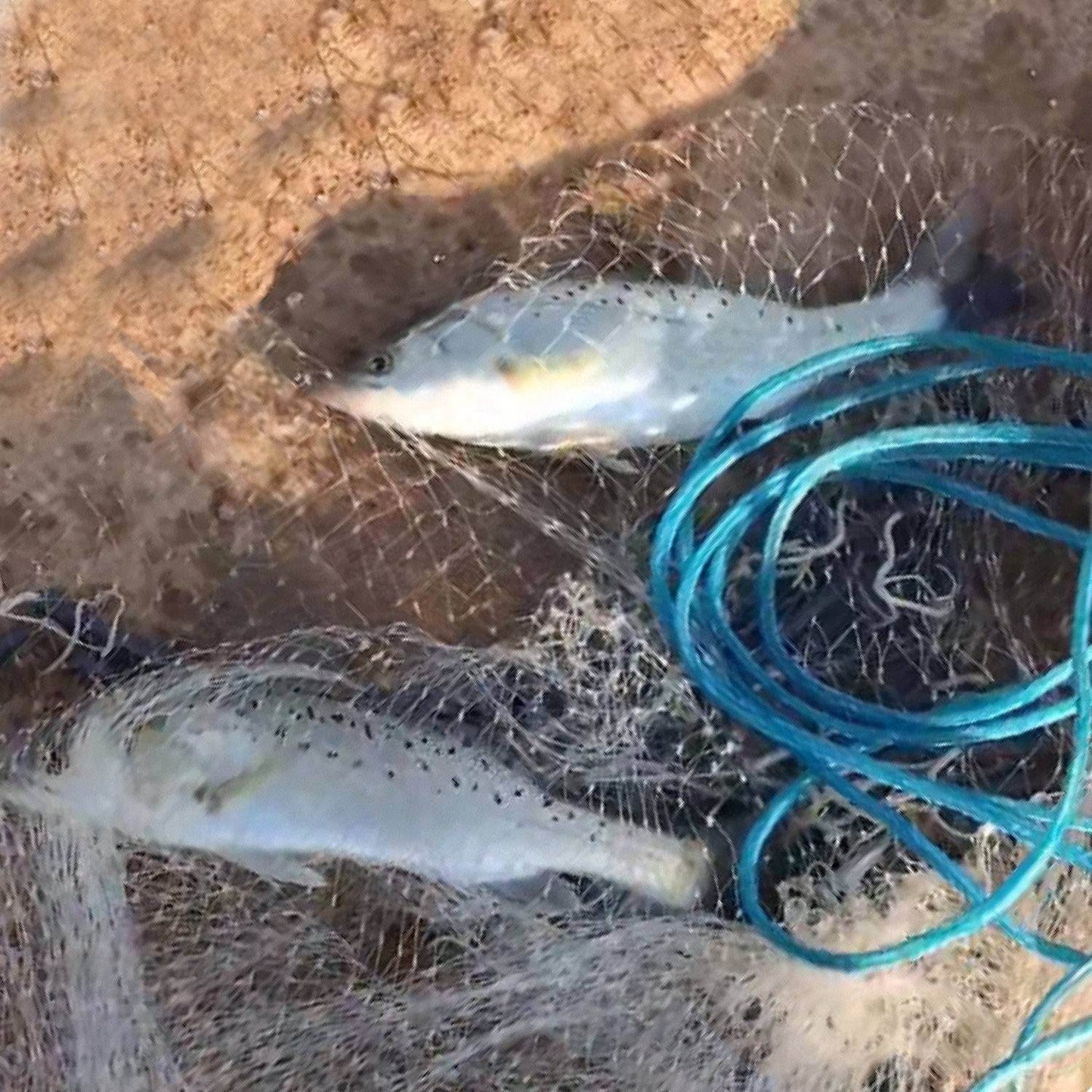 Heavy-Duty Hand Cast Fishing Net with Chain Sinker